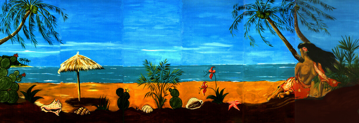 Hawaiiaans strand